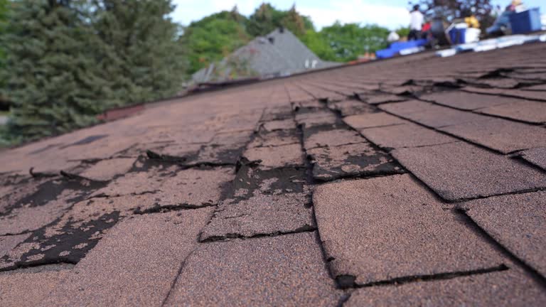 Roof Insulation in East Honolulu, HI